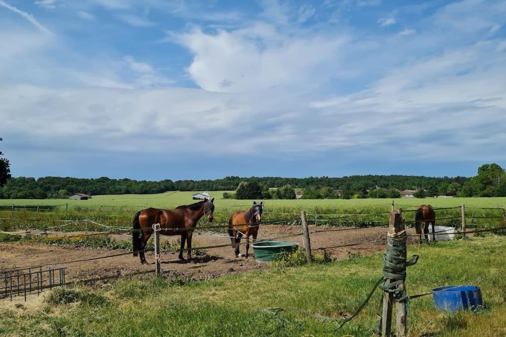 Belle Suite Dans Corps De Ferme - Logement Alicia Villiers-sous-Grez Екстер'єр фото